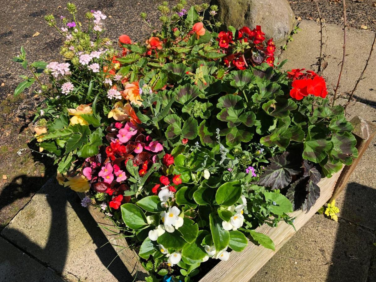 Oakfield B&B Lisburn Buitenkant foto