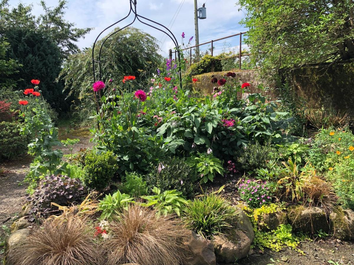 Oakfield B&B Lisburn Buitenkant foto